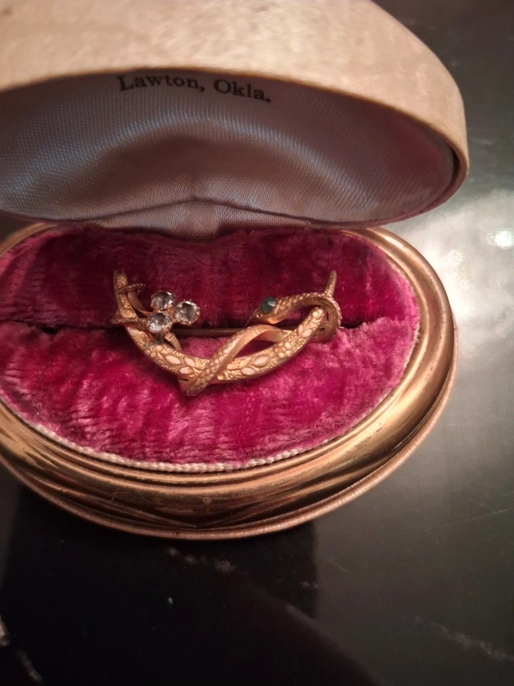 Scottish 1800s Victorian Snake Brooch